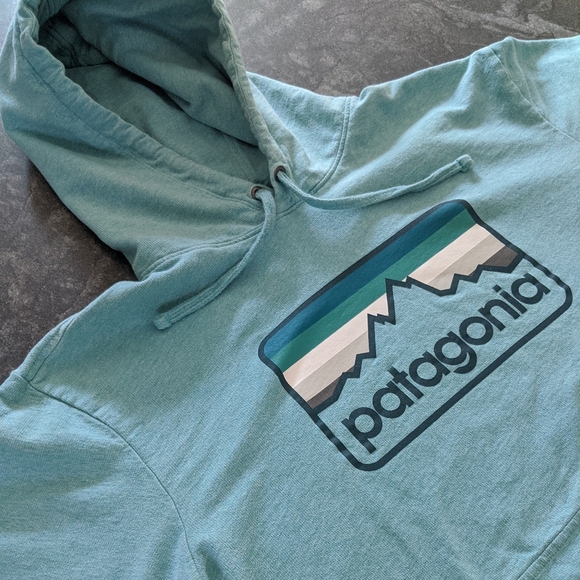 Patagonia Tops - Patagonia pristine condition MENS MED hoodie
